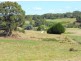 75 Andersons Road, Pennyroyal VIC 3235