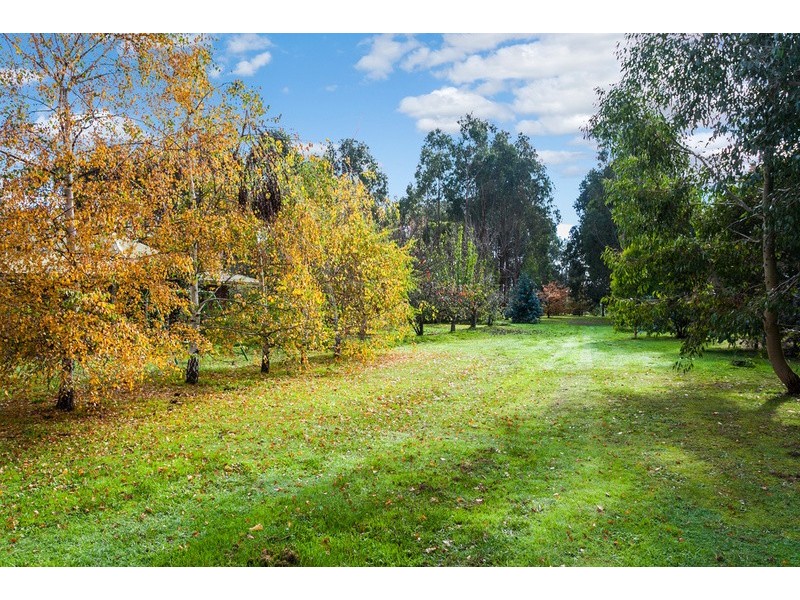1230 Birregurra-Deans Marsh Road, Deans Marsh VIC 3235