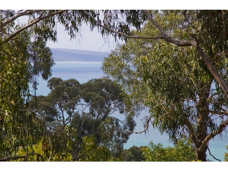 48 Charles Street, Lorne VIC 3232