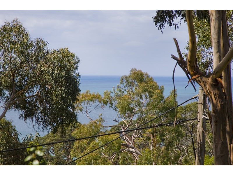 48 Charles Street, Lorne VIC 3232