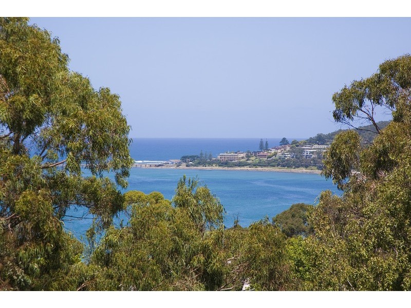 58 Deans Marsh Road, Lorne VIC 3232