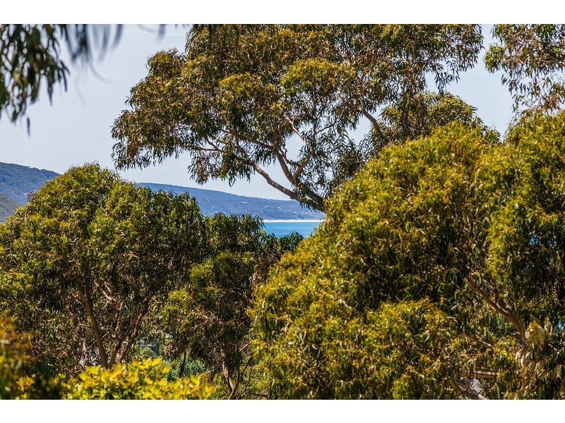 24 Grand Parade, Lorne VIC 3232