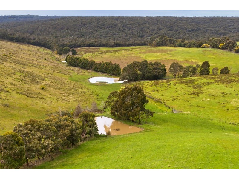 Lot 2/445 Wensleydale-Station Road, Wensleydale VIC 3241