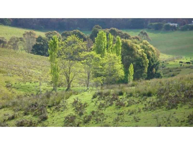 Lot 2/445 Wensleydale-Station Road, Wensleydale VIC 3241