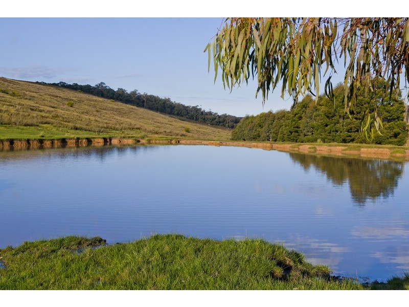 Lot 2/445 Wensleydale-Station Road, Wensleydale VIC 3241