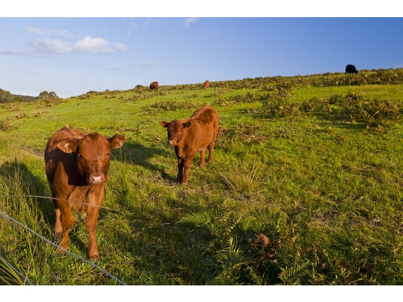 Lot 2/445 Wensleydale-Station Road, Wensleydale VIC 3241