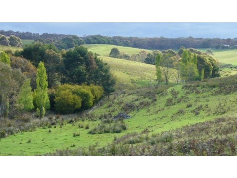 Lot 2/445 Wensleydale-Station Road, Wensleydale VIC 3241