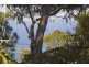 3 Allen Street, Lorne VIC 3232