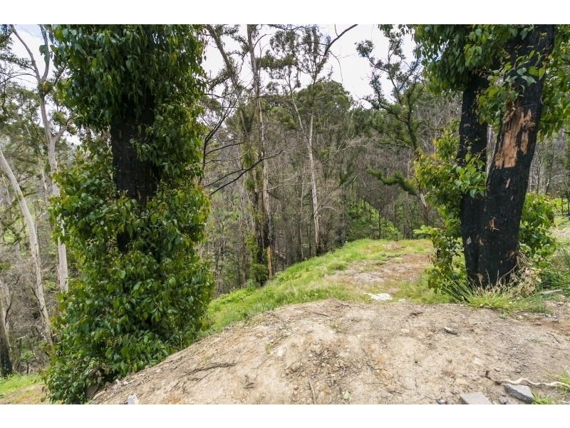 41 Riverside Drive, Wye River VIC 3221