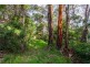 41 Riverside Drive, Wye River VIC 3221