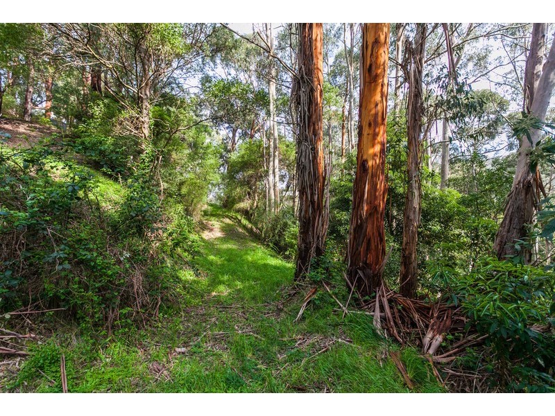 41 Riverside Drive, Wye River VIC 3221