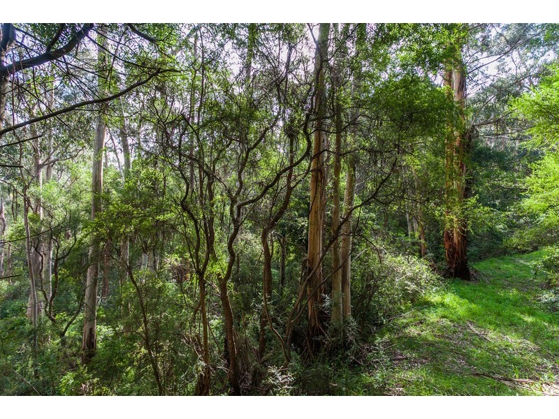 41 Riverside Drive, Wye River VIC 3221