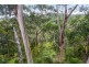 31 Waverly Avenue, Lorne VIC 3232