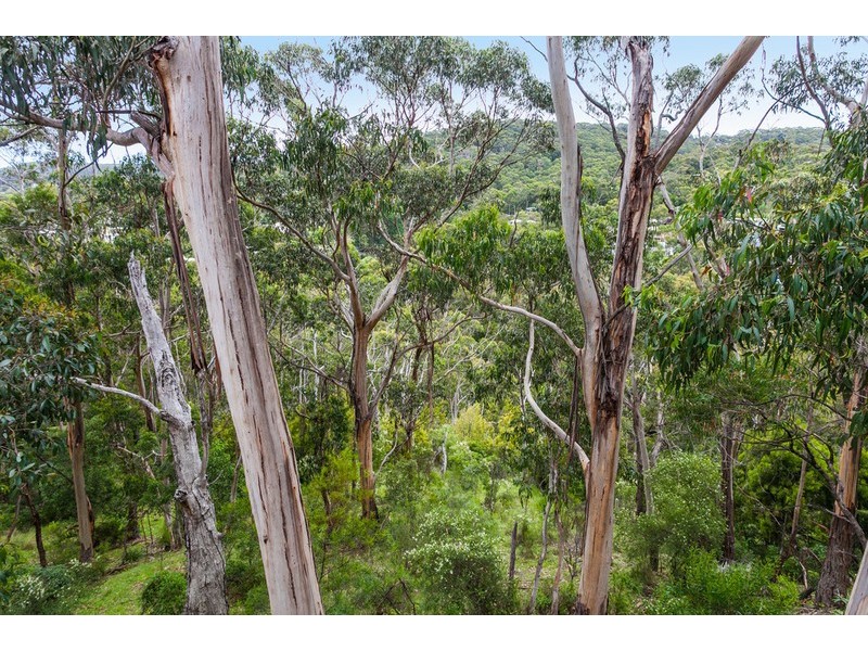 31 Waverly Avenue, Lorne VIC 3232