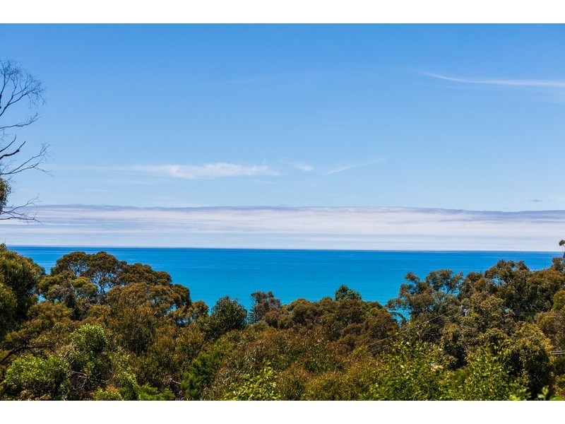 25 Grove Road, Lorne VIC 3232