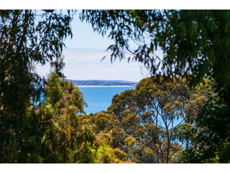 25 Grove Road, Lorne VIC 3232