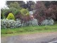 2250 Winchelsea-Deans Marsh Road, Deans Marsh VIC 3235