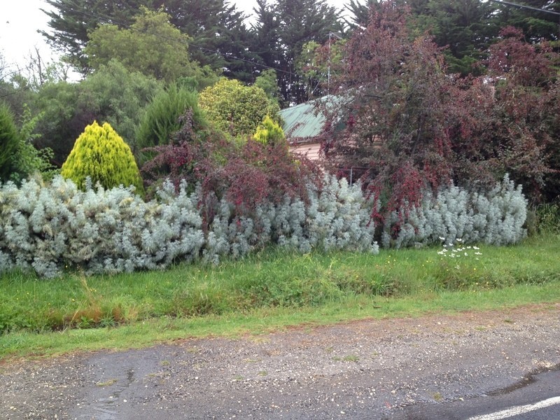 2250 Winchelsea-Deans Marsh Road, Deans Marsh VIC 3235