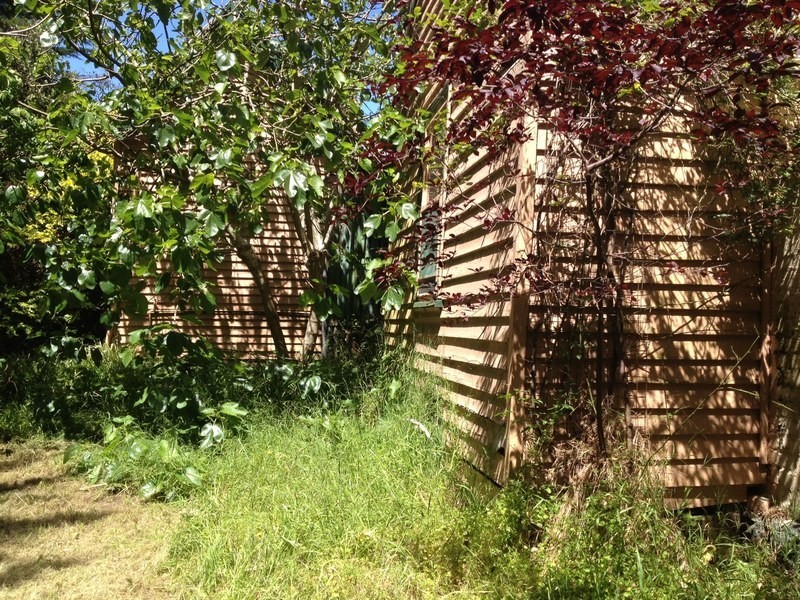 2250 Winchelsea-Deans Marsh Road, Deans Marsh VIC 3235