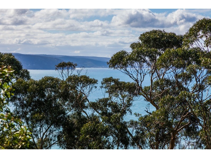 22 Francis Street, Lorne VIC 3232