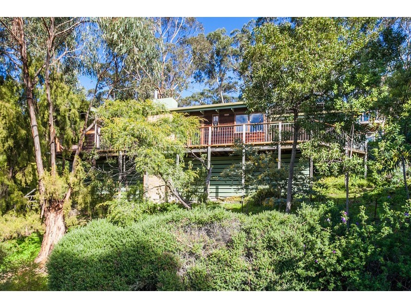 22 Francis Street, Lorne VIC 3232
