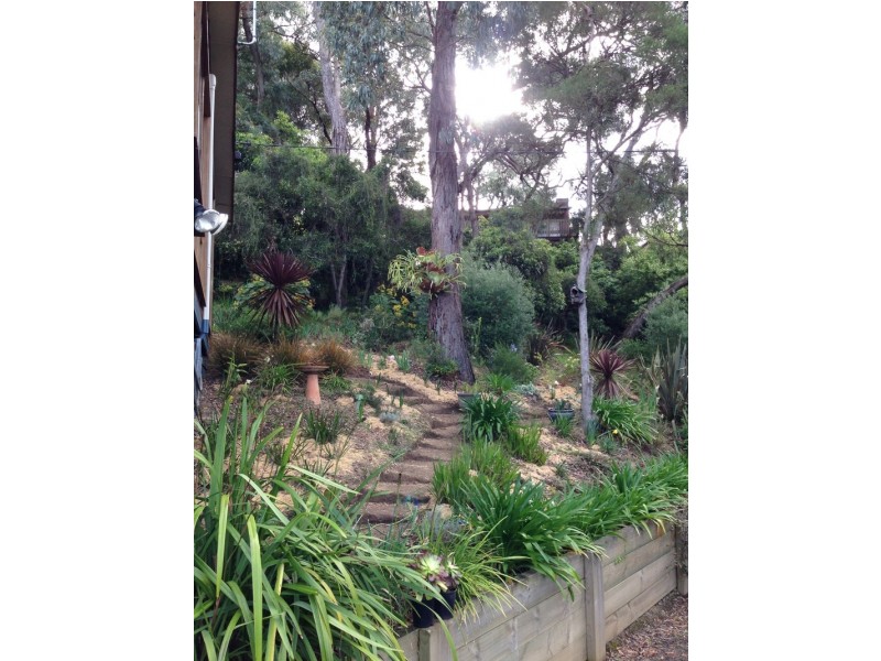 49 Richardson Boulevard, Lorne VIC 3232