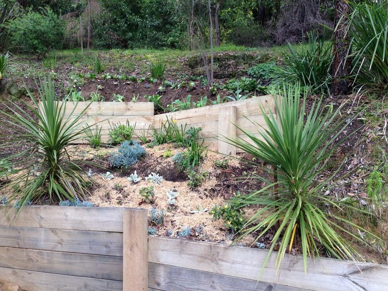 49 Richardson Boulevard, Lorne VIC 3232