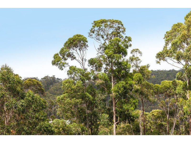 11 Wallace Street, Wye River VIC 3221