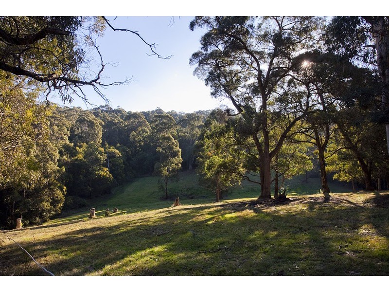 1700 Deans Marsh Road, Lorne VIC 3232