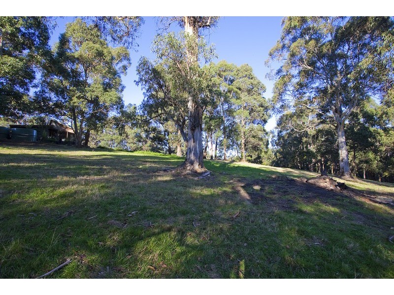1700 Deans Marsh Road, Lorne VIC 3232