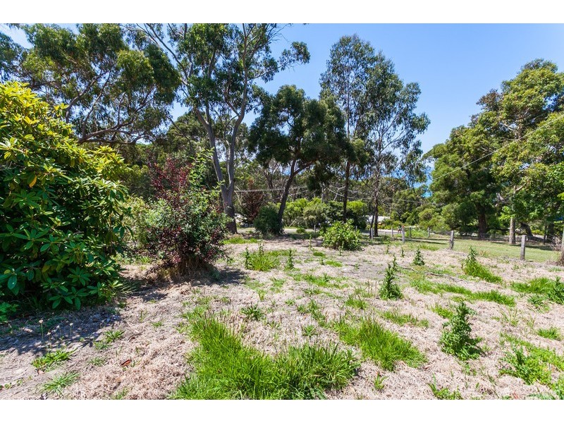 11 Allen Street, Lorne VIC 3232