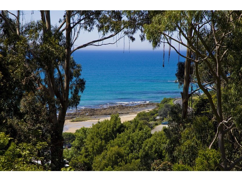5 The Bluff, Wye River VIC 3221
