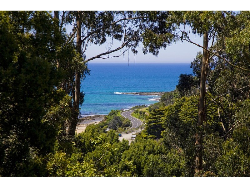 5 The Bluff, Wye River VIC 3221