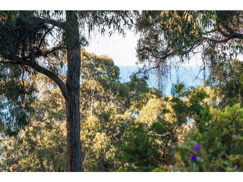 37 Howard Street, Lorne VIC 3232