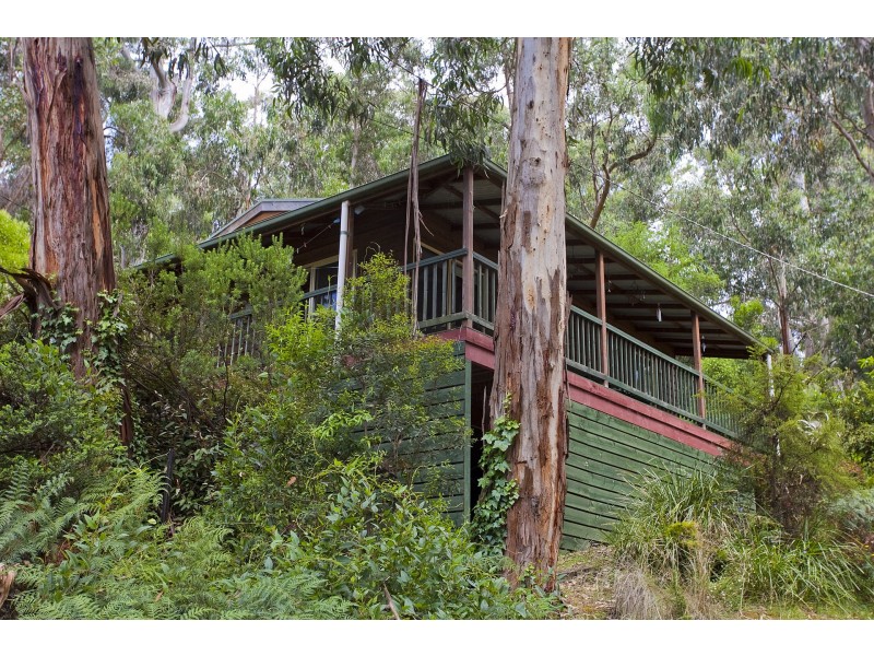 1 Ferny Grove, Kennett River VIC 3221