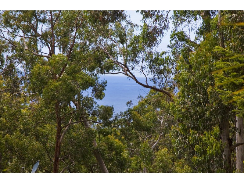 1 Ferny Grove, Kennett River VIC 3221