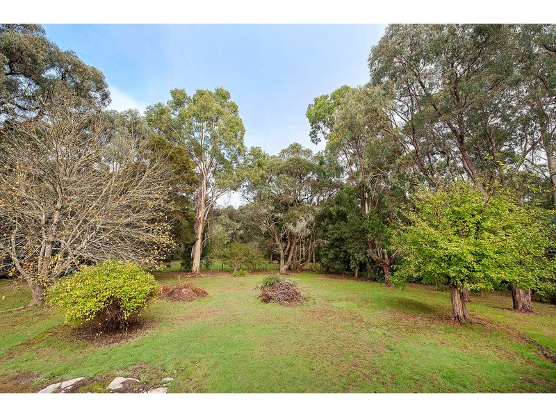 35 Turner Drive, Forrest VIC 3236