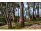 10 Cassidy Drive, Kennett River VIC 3221