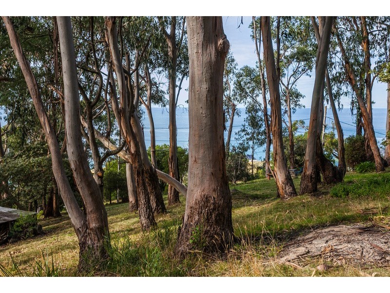 10 Cassidy Drive, Kennett River VIC 3221