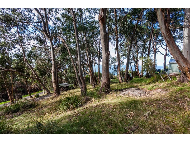 10 Cassidy Drive, Kennett River VIC 3221
