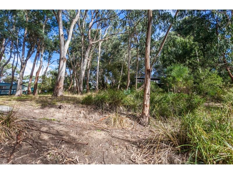 10 Cassidy Drive, Kennett River VIC 3221