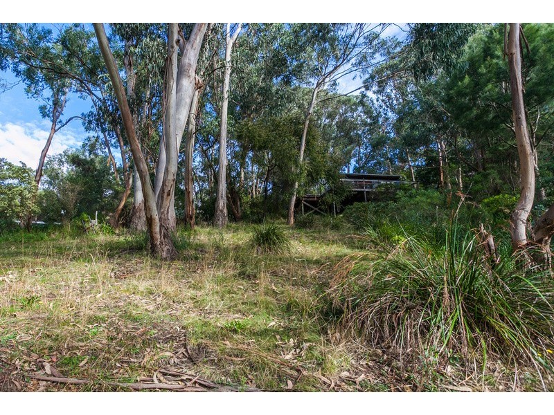 10 Cassidy Drive, Kennett River VIC 3221