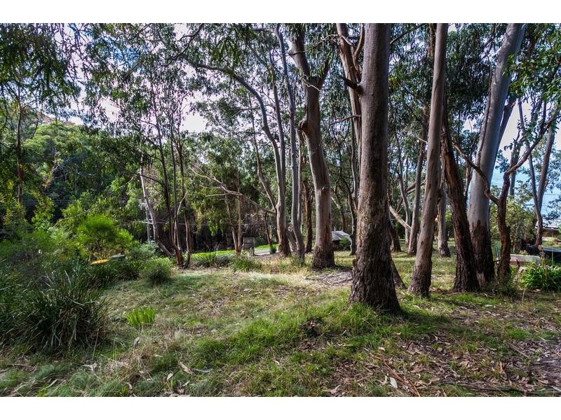 10 Cassidy Drive, Kennett River VIC 3221