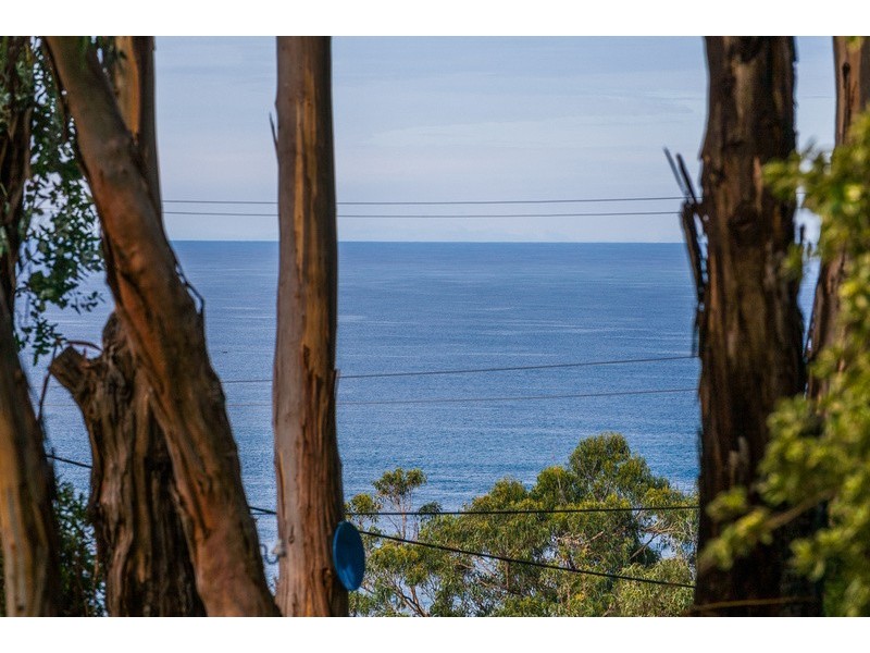 10 Cassidy Drive, Kennett River VIC 3221
