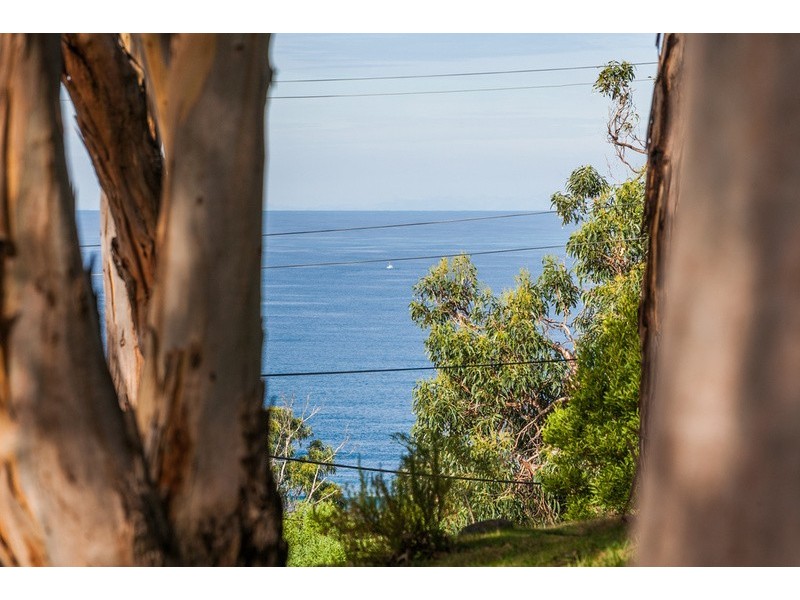 10 Cassidy Drive, Kennett River VIC 3221