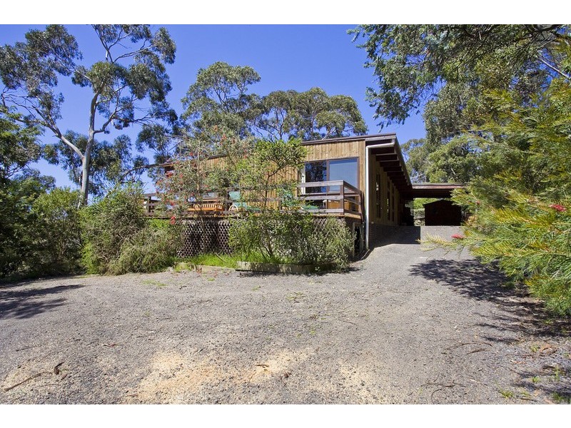 17 Albert Street, Lorne VIC 3232