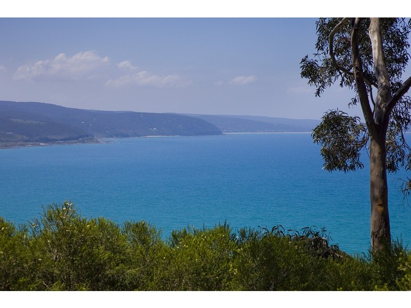 17 Albert Street, Lorne VIC 3232