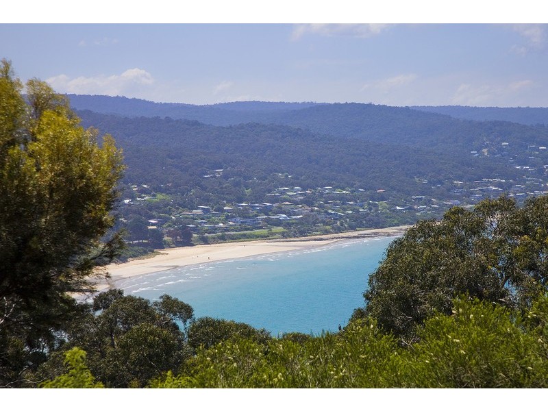 17 Albert Street, Lorne VIC 3232