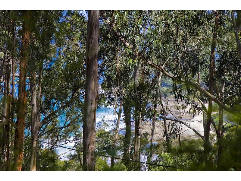 17  Koonya Avenue, Wye River VIC 3221