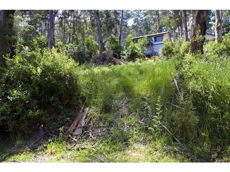 17  Koonya Avenue, Wye River VIC 3221